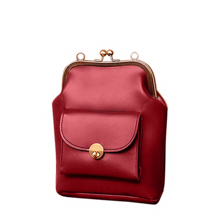 Retro Chic Vintage Kiss-Lock Handbag